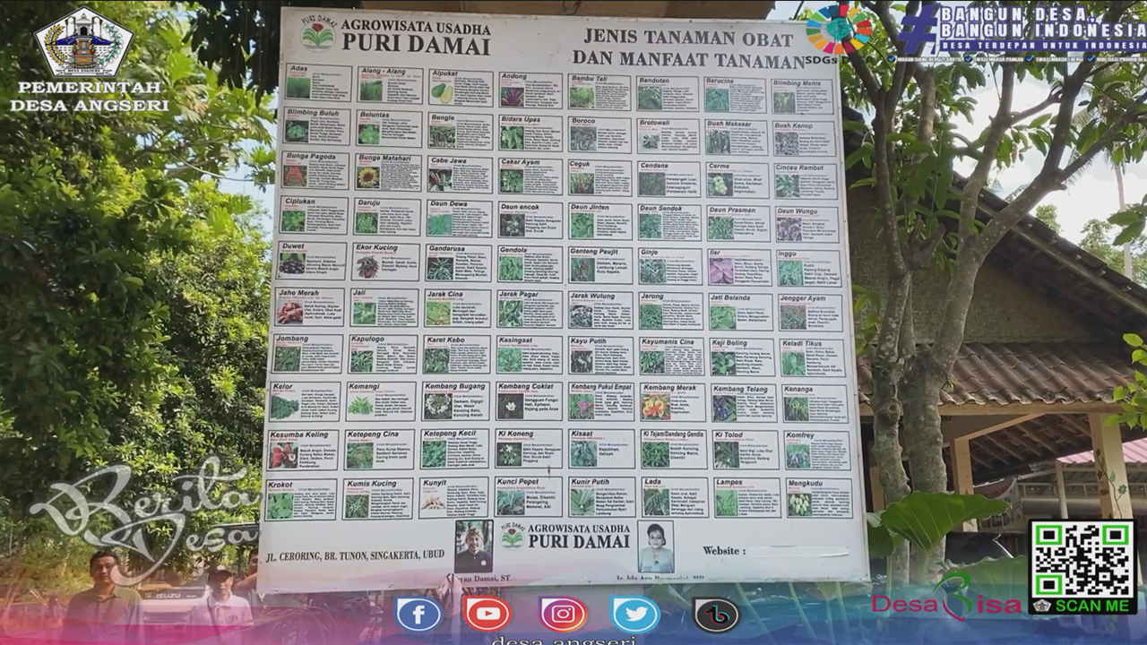 Studi_Tiru_PSBS